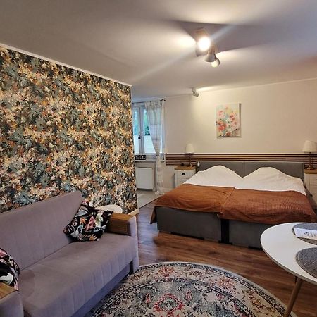 Apartament Przy Parku Nałęczów エクステリア 写真