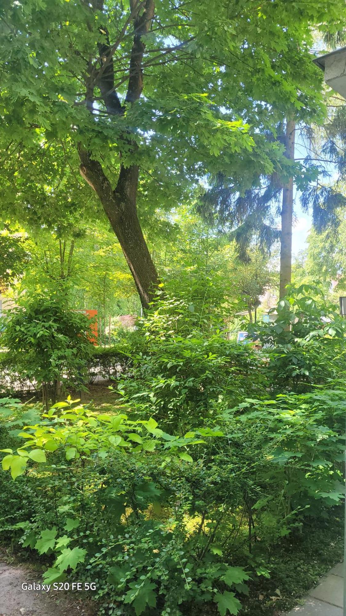 Apartament Przy Parku Nałęczów エクステリア 写真