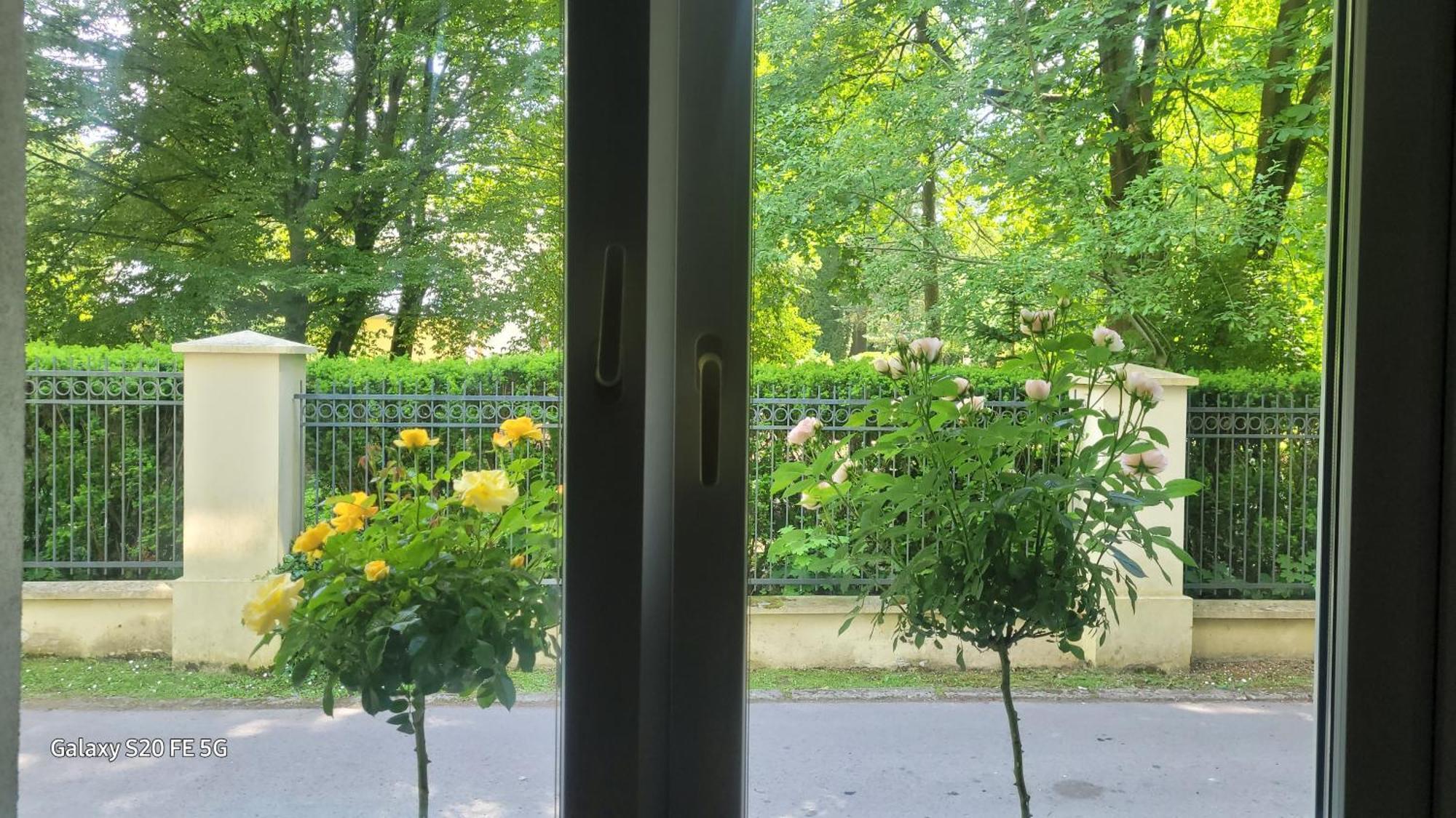 Apartament Przy Parku Nałęczów エクステリア 写真