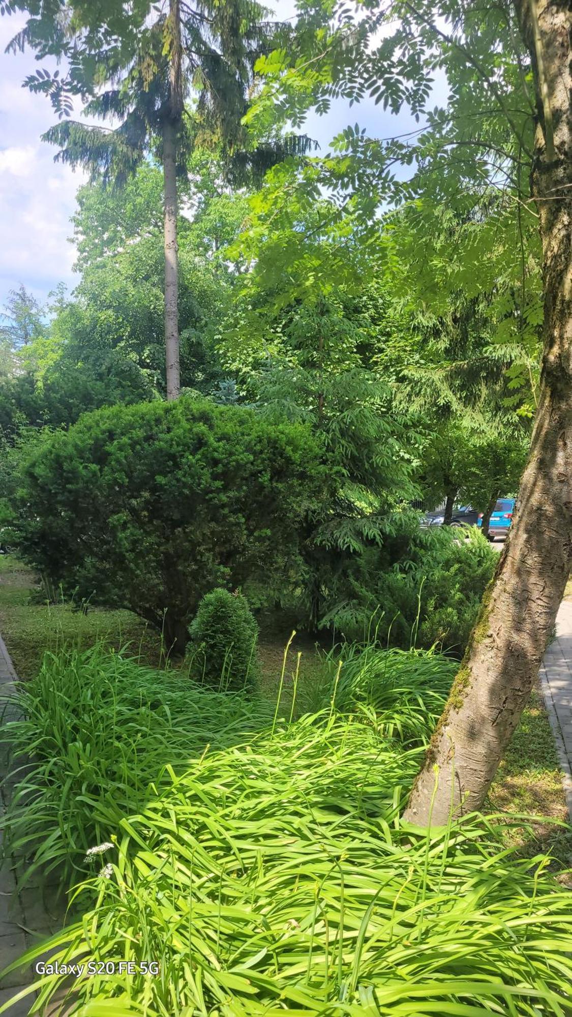 Apartament Przy Parku Nałęczów エクステリア 写真